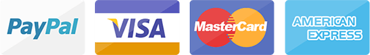 PayPal Visa Mastercard Amex Icons